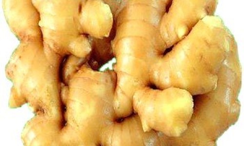 中药香草图片大全网-分享中药香草图片大全集，中药香草图片大全高清知识库